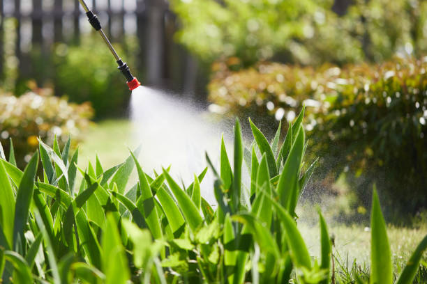 24/7 Emergency Ant Control experts in Bannockburn, IL
